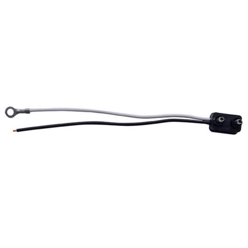 2 PRONG PLUG